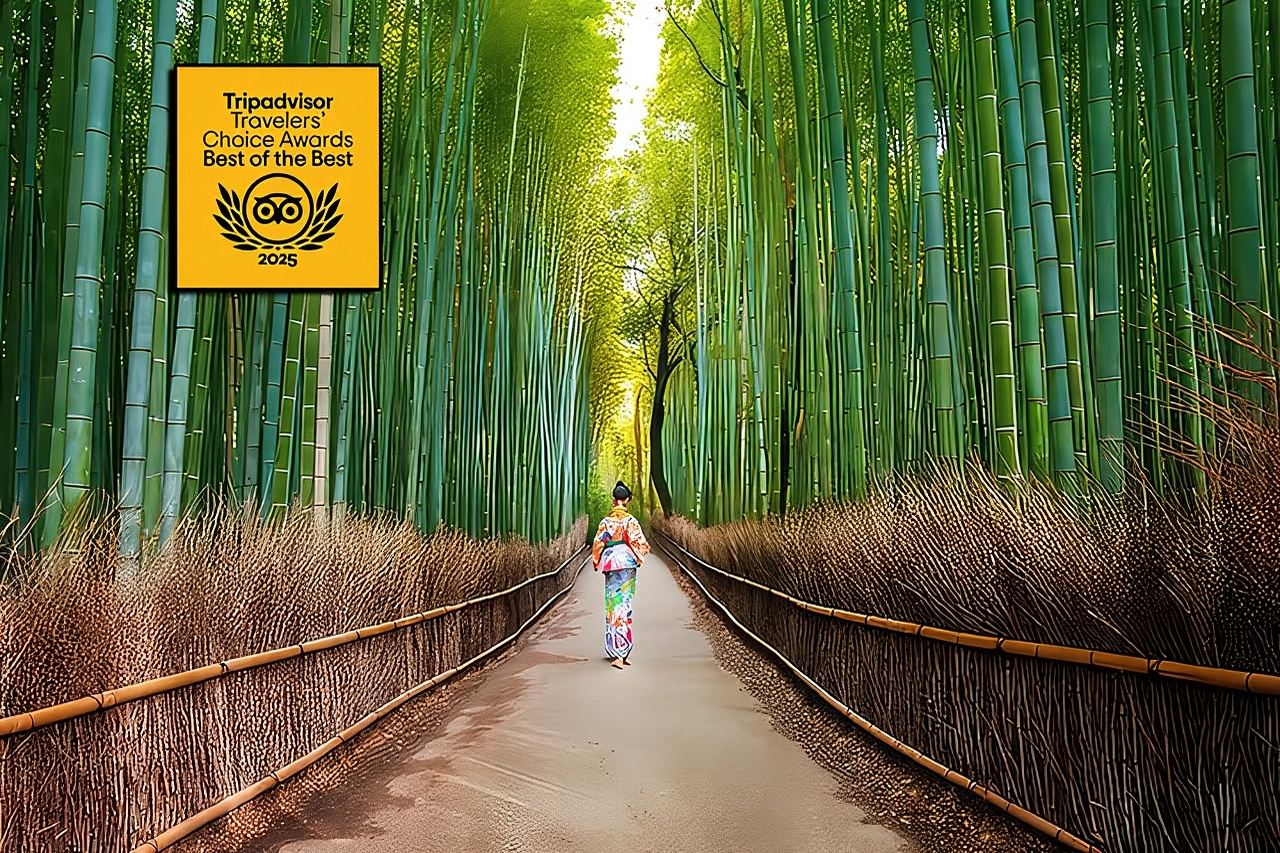 Kyoto Arashiyama Walking Tour: Bamboo, Monkeys, Gardens & Secrets