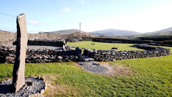 Tour privato di mezza giornata alla penisola di Dingle e a Slea Head