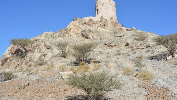 4x4 Hatta Safari to Fossil Rock & Honey Bee Garden visit with Breakfast