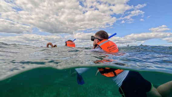 Guided Puerto Morelos reef snorkeling with lunch from Cancun