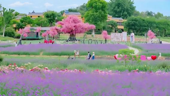 木蘭花鄉不夜城精品純玩一日遊