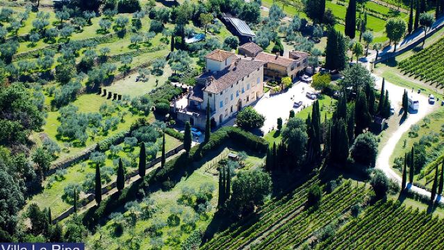 Weinbergtour und Verkostung von Evo-Weinen und -Öl in der Toskana