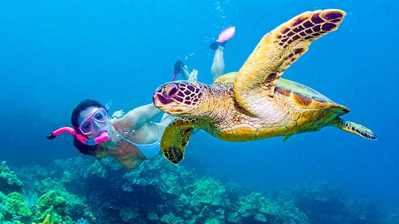 Inklusive Inselgebühren! Tagesausflug nach Phuket Similan mit Yacht/Speedboot zum Schnorcheln und Transfer von der ganzen Insel