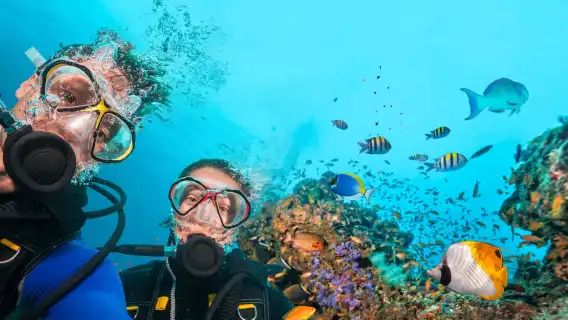 ดำน้ำและสนอร์เกิล 2 ชั่วโมงที่ถ้ำน้ำเงินโอกินาว่า ประเทศญี่ปุ่น [สนอร์เกิลถ้ำน้ำเงิน/ดำน้ำลึก/ครูสอนภาษาอังกฤษและญี่ปุ่น/เริ่มจากชายฝั่งไม่เมาเรือ]