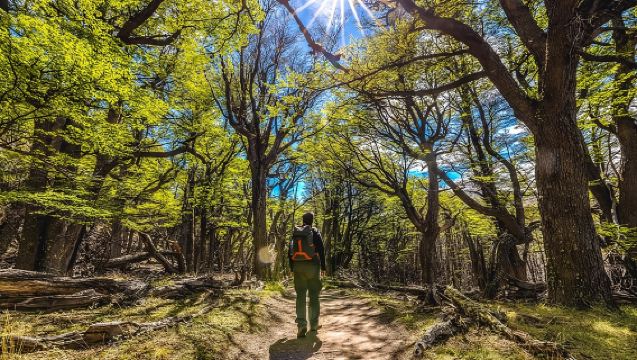 El Chaltén dengan Trekking dari El Calafate