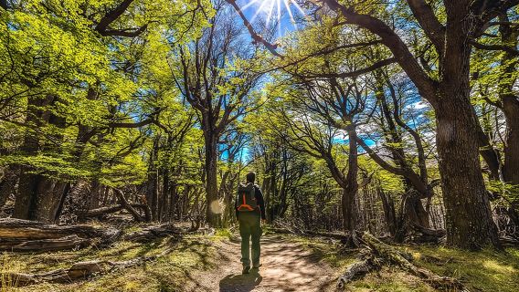 El Chaltén com Trekking saindo de El Calafate