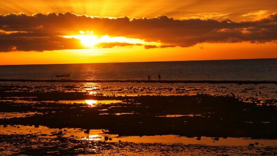 Kupang Private Car Hire: Your Personal Driver for Stress-Free Journeys