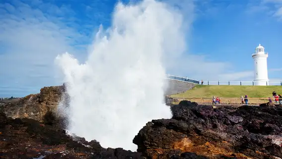 雪梨臥龍崗市一日遊【藍色海洋路丨凱阿馬噴水洞丨可選袋鼠谷】