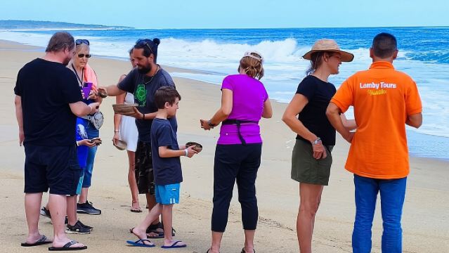 Privatgruppe zur Freilassung von Schildkröten mit inbegriffenen Tickets