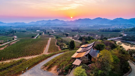 Private Experience of Wine Tasting Hua Hin in Monsoon Valley
