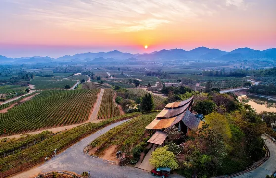 在華欣季風谷享受私人葡萄酒品嚐體驗