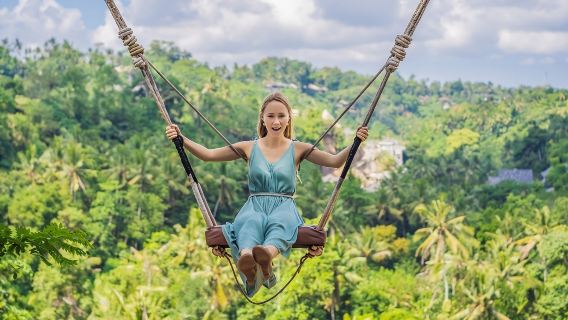 Excursión de un día completo en Bali