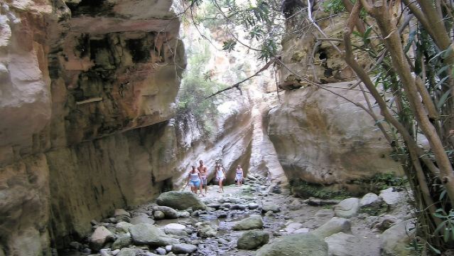 랜드 로버 아카마스 블루 라군 지프 사파리(Land Rover Akamas Blue Lagoon Jeep Safari)