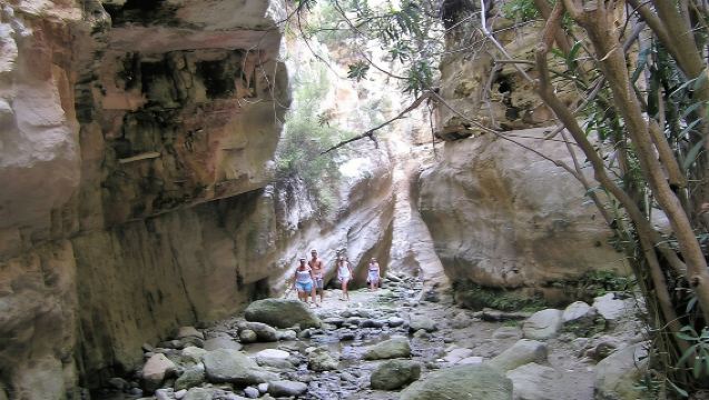 Safari en Jeep por la Laguna Azul de Akamas con Land Rover