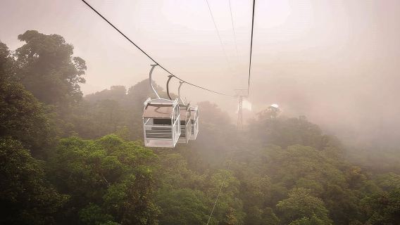 Сан-Хосе: однодневная экскурсия по Монтеверде на трамвае и подвесным мостам