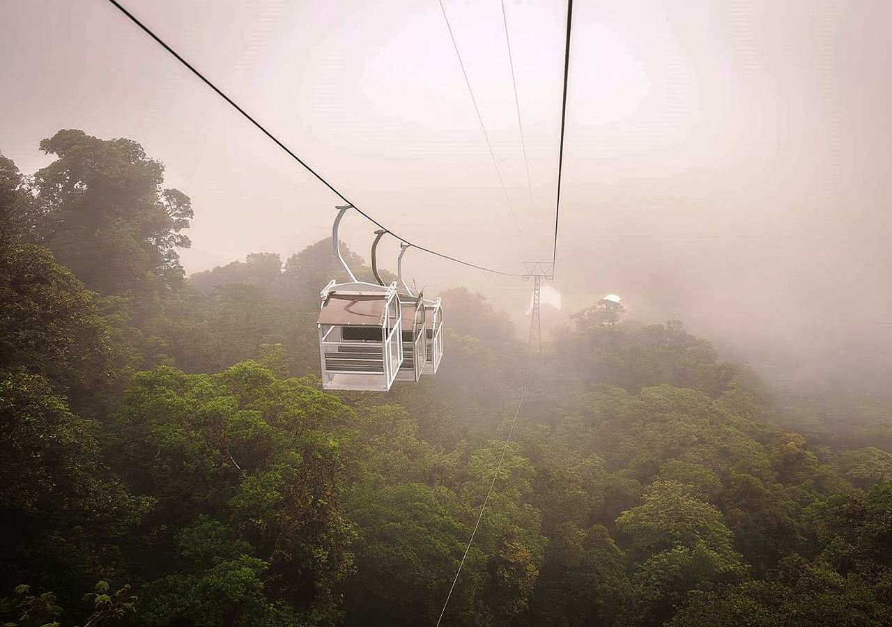 San Jose: Monteverde Sky Tram & Hanging Bridges Day Tour
