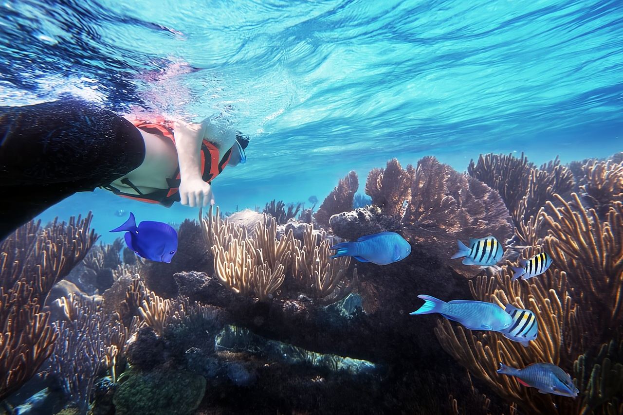 Depuis Cancún : entrée au parc Garrafon Reef avec billets de ferry