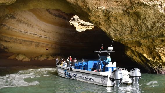Desde Lagos: Cueva de Benagil y crucero costero en catamarán