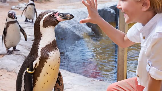 Eintrittskarte für das Bournemouth Oceanarium