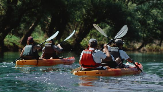 Skadar Lake: Kayak & Paddle board Rental