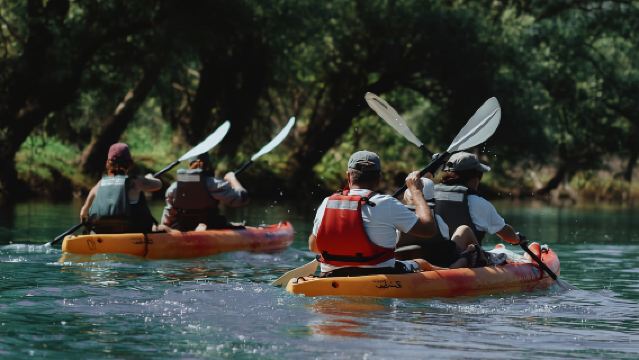 Lago di Scutari: Noleggio Kayak e Paddle Board