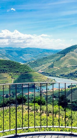 Douro Valley Tour from Porto, Portugal - Includes Cruise, Vineyard Visit, Wine Tasting & Lunch
