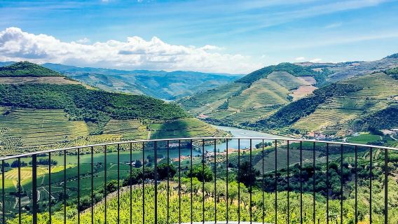 Tour di un giorno a Porto, Portogallo: crociera nella Valle del Douro, visita ai vigneti, degustazione di vini e pranzo