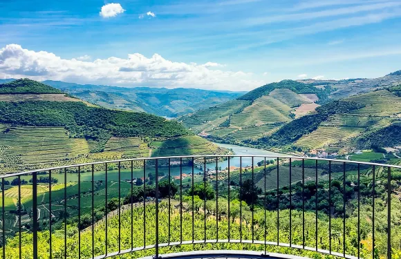 葡萄牙波爾圖出發 杜羅河谷之旅 含遊船/賞葡萄園/品酒/午餐