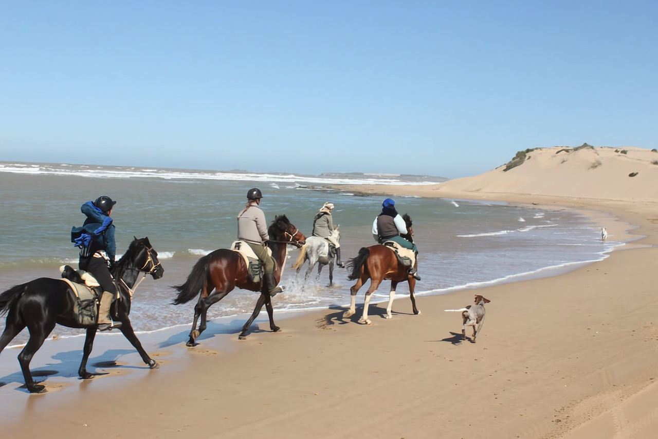 Da Essaouira: passeggiata a cavallo di 1 ora