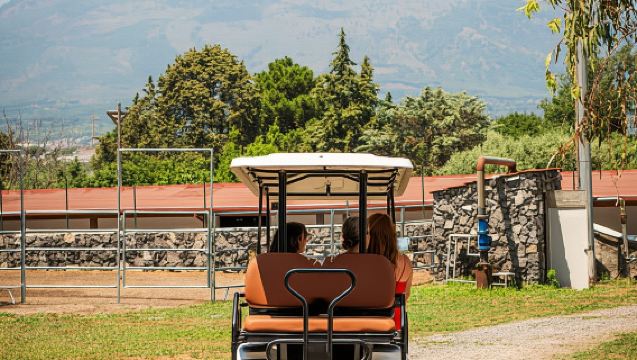 Da Sorrento: Tour in Cantina, Degustazione e Pranzo