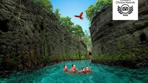 Xcaret Park Entry Tickets with Cultural Night Show Included