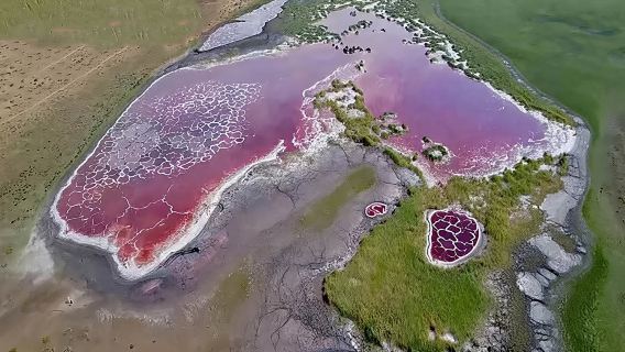 阿拉善左旗騰格里沙漠·過夜露營【2天1晚/五湖穿越/沙漠星空露營/沙坡頭/穿越218公路】