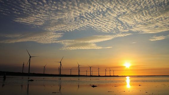 Humedal de Gaomei, Rainbow Village Taichung y Mercado nocturno de Fengjia - medio día de excursión