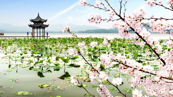 杭州雷峰塔+西湖遊船+飛來峰+靈隱寺一日遊【私家團 上門接】