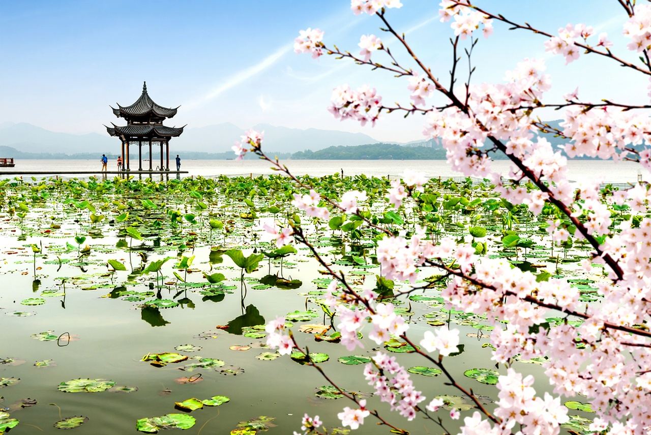Hangzhou Leifeng Tower + West Lake Pleasure Boat + Feilai Peak + Lingyin Temple 1-day tour [private tour with pick-up]
