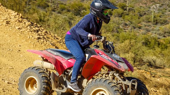 Sidewinder ATV Training & Centipede Tour Combo - Guided ATV Training & Tour