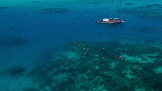 Ocean Free 25 guest Great Barrier Reef & visit Green Island Tour