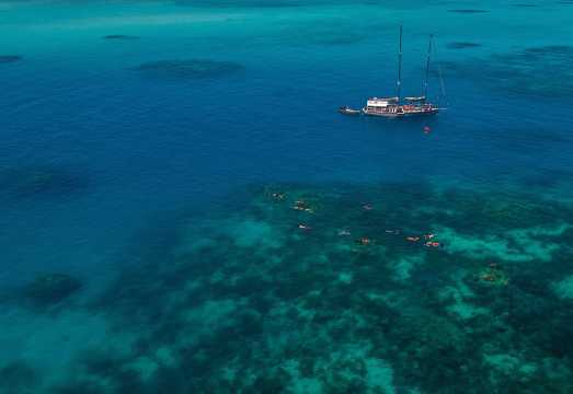 Ocean Free 25 guest Great Barrier Reef & visit Green Island Tour AUD 287.76