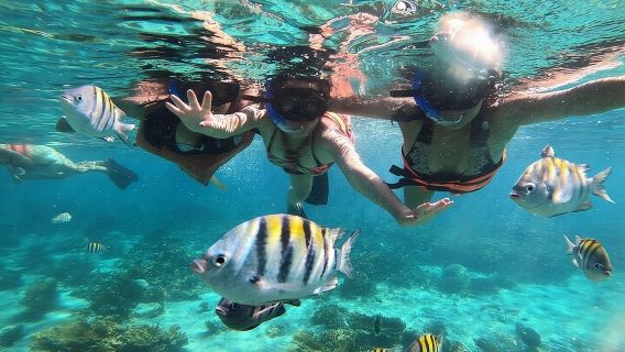 Sail to Orange Island Snorkeling Adventure, Water Sports & Lunch