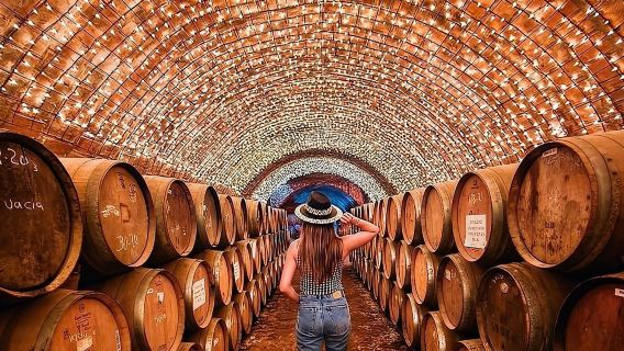 Tour cultural y artesanal del tequila: Tu experiencia 100% privada