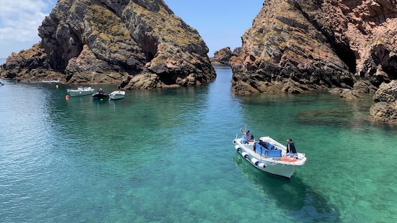 Escursione di andata e ritorno in barca e visita alle grotte delle Berlengas da Peniche