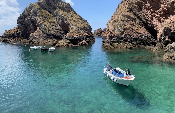 佩尼謝出發前往貝倫加斯群島的來回船票及洞穴之旅