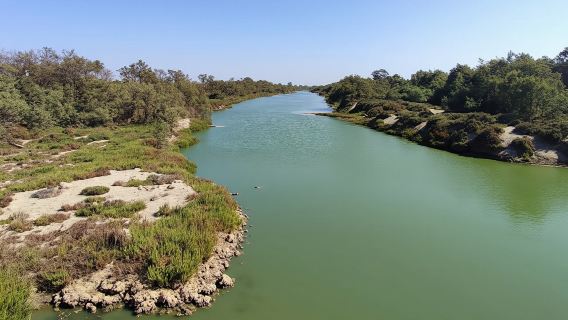 Economic Tour of Massa and Tiznit in a 4x4 from Taghazout with Lunch