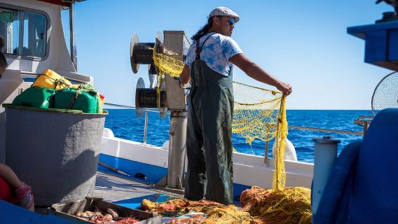 Greek 8-person small group Santorini traditional fishing trip (morning departure + lunch + transfer service)