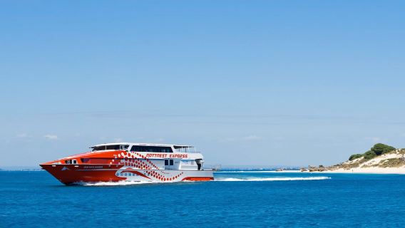 Boleto de ferry Rottnest Express (ida o vuelta disponible + salida desde Perth/Fremantle + traslados al hotel opcionales)