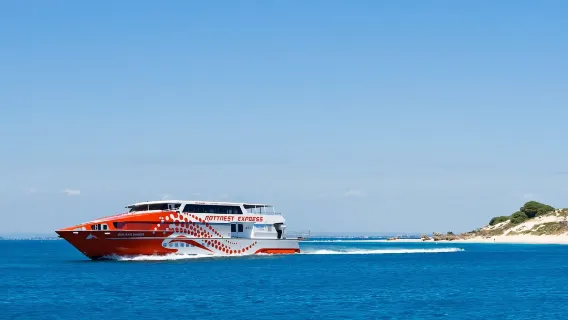 Rottnest Express Ferry Boat Ticket(one-way/ Round-trip Available + Perth City/Fremantle Departure + Optional Hotel Option)