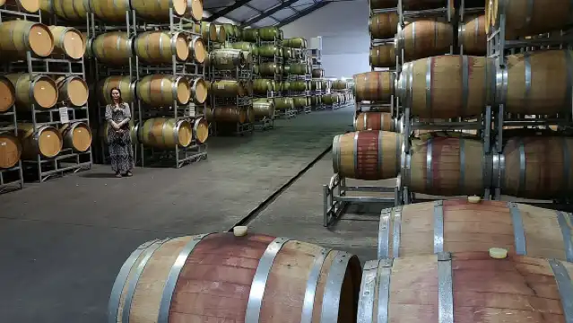 ทัวร์ส่วนตัวครึ่งวัน: Cape Winelands, Stellenbosch จาก Cape Town