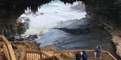 小型袋鼠島旅行團 - 袋鼠島精華遊