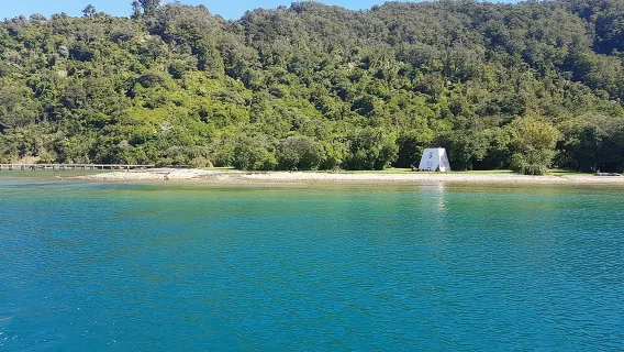 Medio día de crucero por los Marlborough Sounds desde Picton