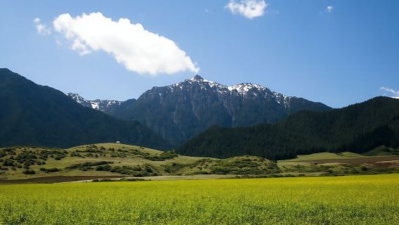 南山牧場+水磨溝風景區+烏魯木齊文化中心一日遊【精品包車遊】